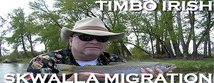 Timbo Irish Skwalla Stonefly Migration-Yakima River