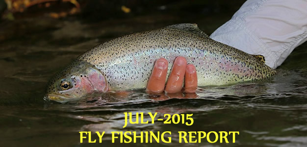 WBFC Fly Fishing Report-July 2015