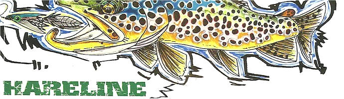Hareline Dubbin Fish Skull Articulated Fish Spine Starter Pack