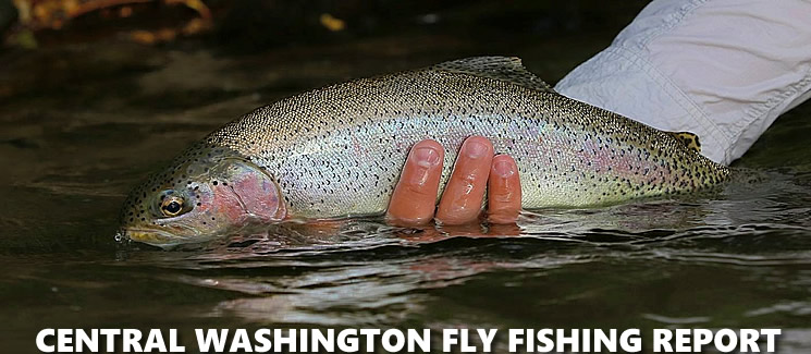 WBFC Central Washington Fly Fishing Report-September 2017