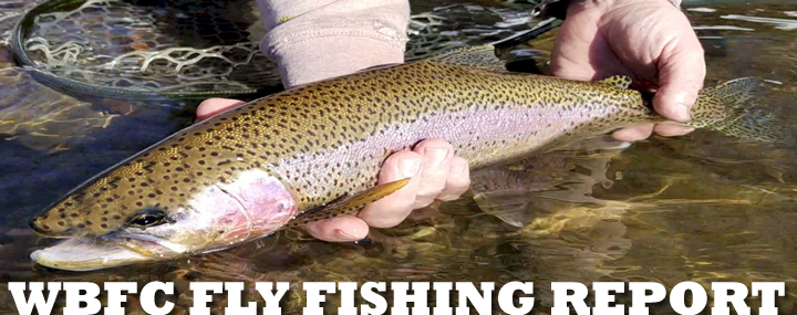 WBFC Fly Fishing Report