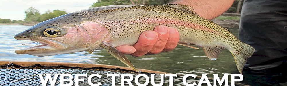 Worley Bugger Fly Co-Trout Camp-2020
