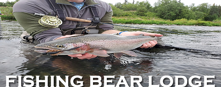 Fishing Bear Lodge Alaska