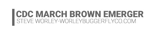 CDC March Brown Emerger-Steve Worley