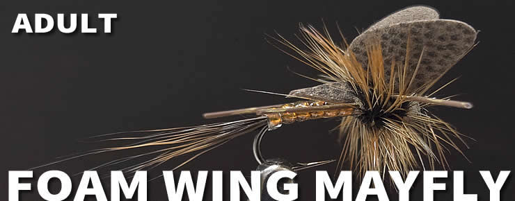 Foam Wing Mayfly-Adult-March Brown