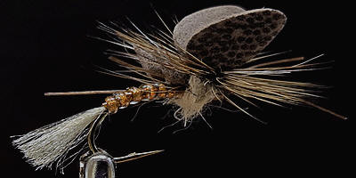 Foam Wing Mayfly-Emerger-March Brown
