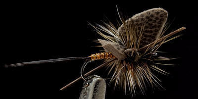 Foam Wing Mayfly-Adult-March Brown