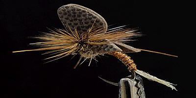Foam Wing Mayfly-Emerger-March Brown