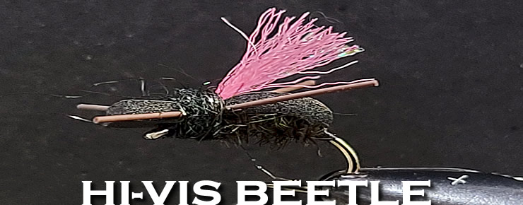 Hi-Vis Beetle