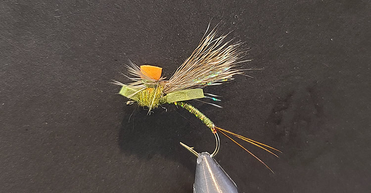 The Soldier Of Fortune Green Drake Mayfly