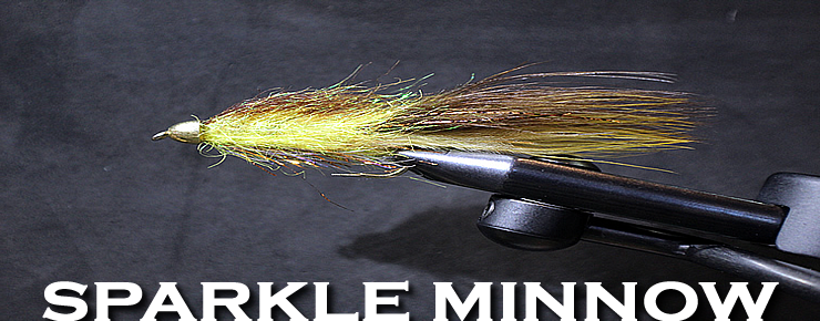 http://www.worleybuggerflyco.com/WBFCVideos/IMAGES/TheSparkleMinnow-1.png
