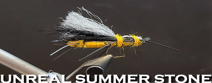 The Unreal Summer Stonefly