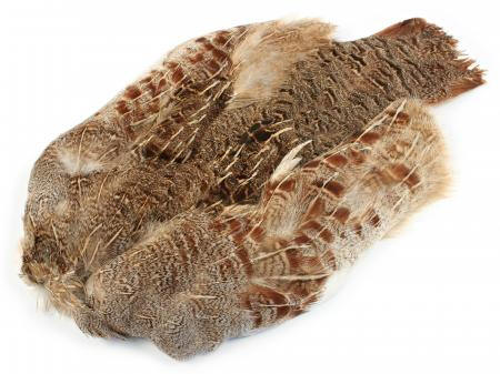 Wapsi Hungarian Whole Partridge Skin