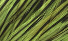 Whiting Bugger Pack Dyed Badger Insect Green