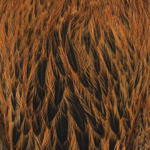 Whiting Farms Brahma Rooster/Hen Golden Brown Hackle