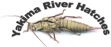 Yakima River Hatches