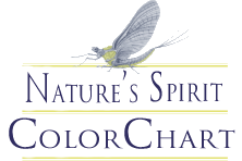 Nature's Spirit Color Chart