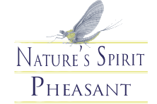 Nature's Spirit Pheasant Feathers