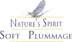 Nature's Spirit Soft Plummage Feathers
