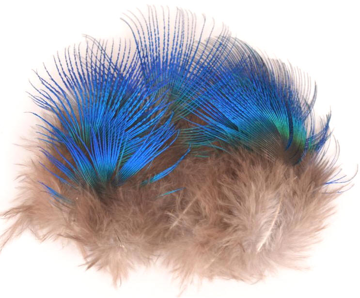 Nature's Spirit Blue Peacock Feathers
