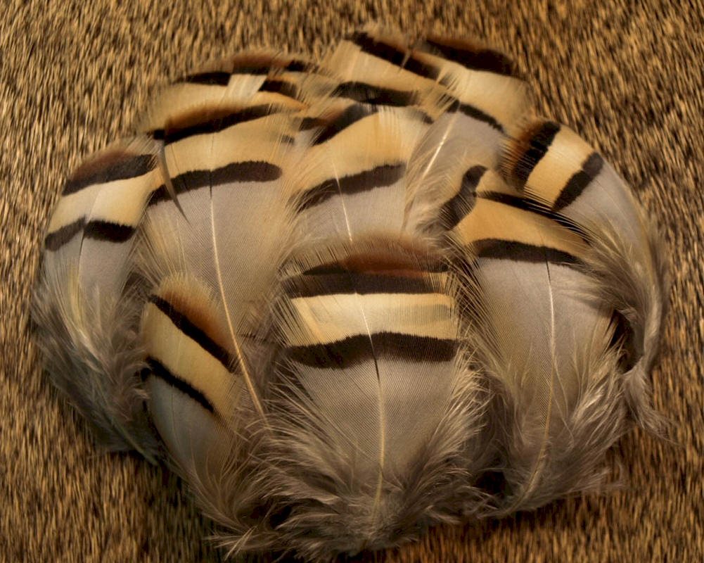 Nature's Spirit Chukar Feathers