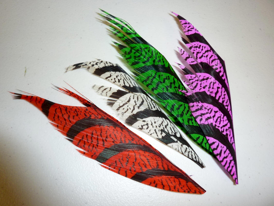 Nature's Spirit Lady Amherst Tail Feather Pieces