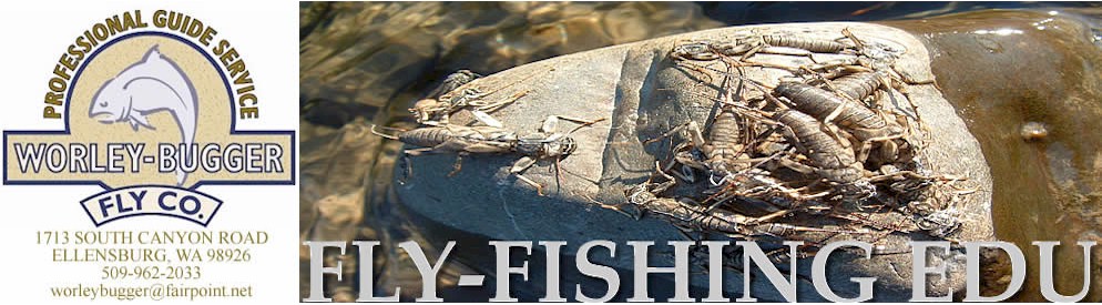 Worley Bugger Fly Co. Fly Fishing EDU- A Professional Washington State Fly  Fishing Service