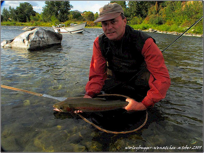 A Wenatchee River Steelhead