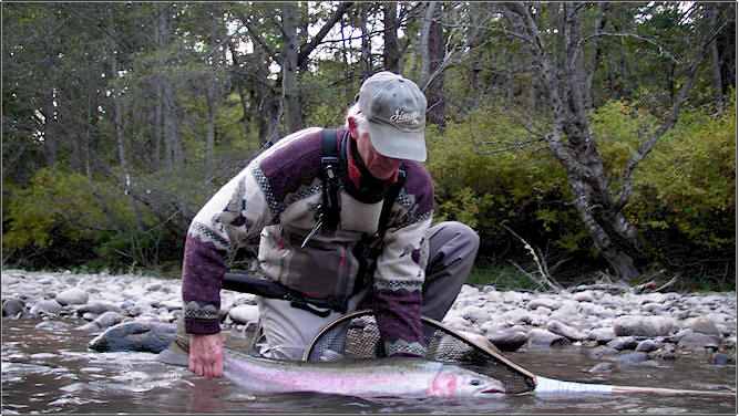 Klickitat River Steelhead
