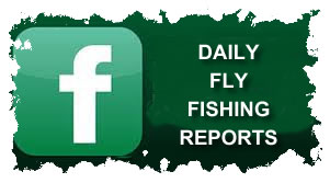 Daily Fly Fishing Reports From WBFC On Facebook