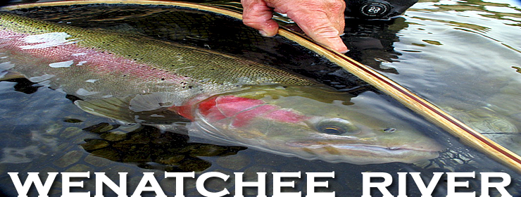 Wenatchee River Steelhead Fishing