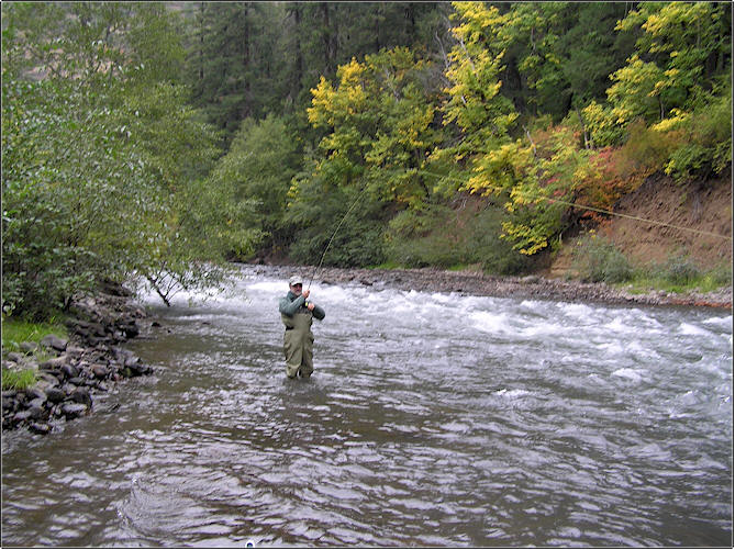 Klickitat River Steelhead....Fish On!