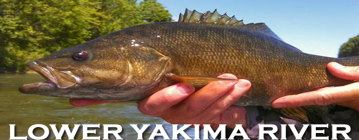 The Lower Yakima River Smallmouth Guided Tour