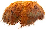 Wapsi Ringneck Pheasant Rump Hackle