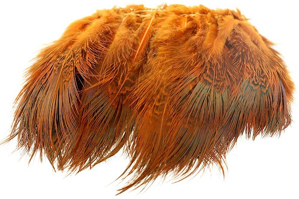 Wapsi Ringneck Pheasant Strung Rump Hackle