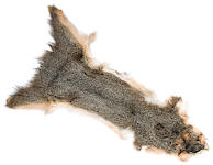 Wapsi Squirrel Skins